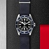 Tudor Black Bay