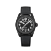 Zenith Pilot